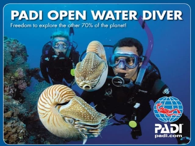 PRIMER CURSO DE BUCEO: OPEN WATER DIVER PADI (3-4días)