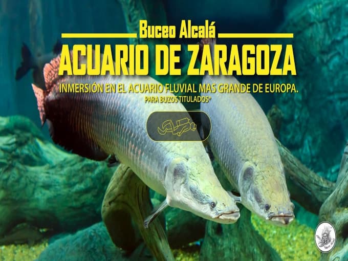 ACUARIO FLUVIAL. Inmersión y fin de semana 4**** 260€