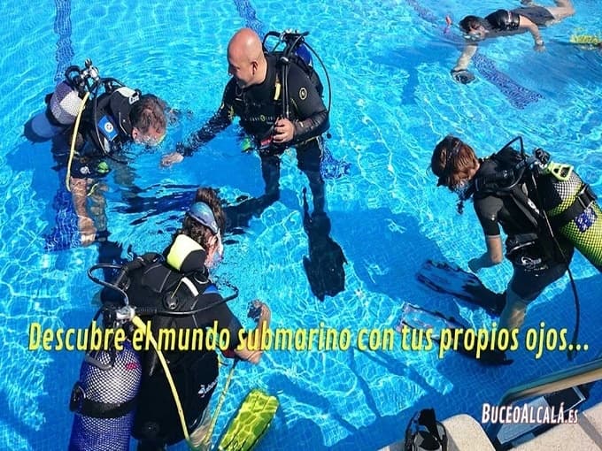 PRIMERA EXPERIENCIA EN PISCINA. PADI – DISCOVER SCUBA DIVING 80€